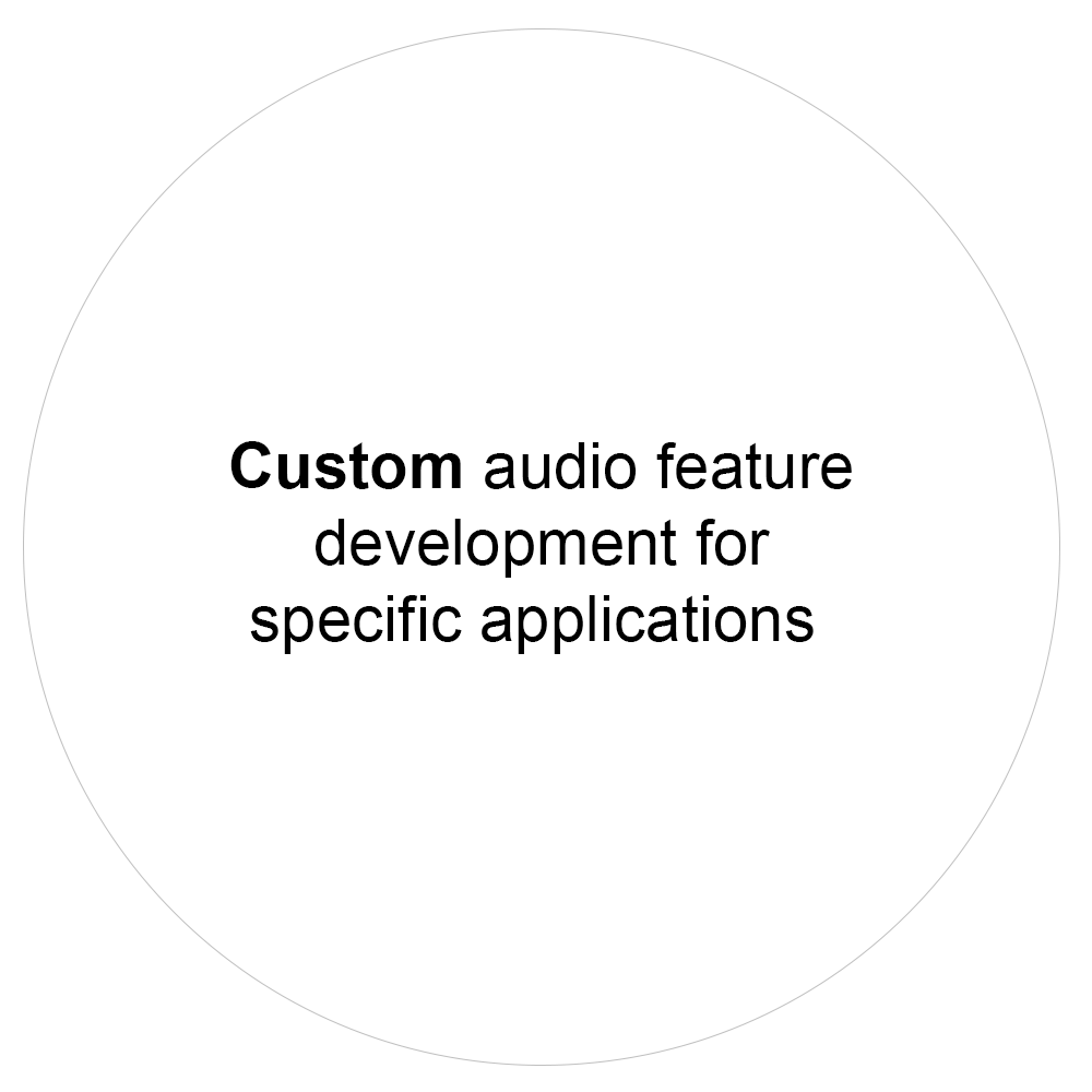 customaudiofeature customaudiofeature